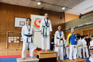 Tournoi-sankukai-onex2016-102