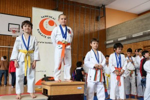 Tournoi-sankukai-onex2016-105