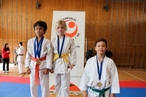 Tournoi-sankukai-onex2016-113