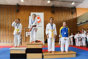 Tournoi-sankukai-onex2016-85