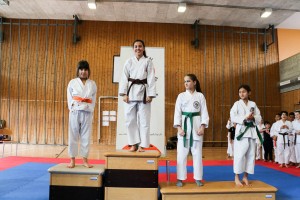 Tournoi-sankukai-onex2016-87