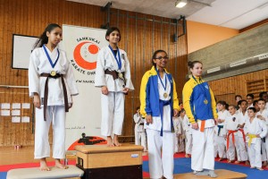 Tournoi-sankukai-onex2016-90