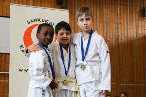 Tournoi-sankukai-onex2016-91