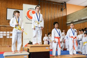 Tournoi-sankukai-onex2016-92
