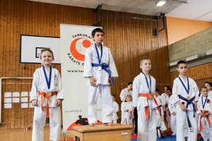 Tournoi-sankukai-onex2016-93