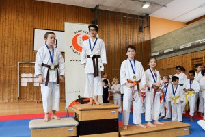 Tournoi-sankukai-onex2016-95