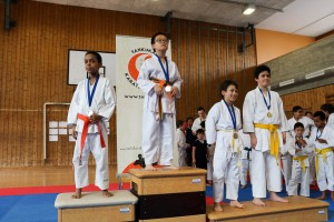Tournoi-sankukai-onex2016-96
