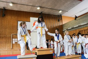 Tournoi-sankukai-onex2016-99