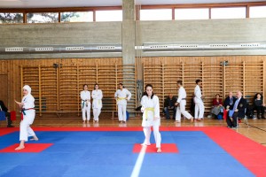 Tournoi-sankukai-onex2016-116