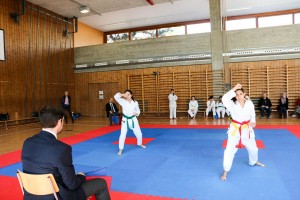 Tournoi-sankukai-onex2016-117