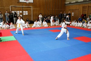 Tournoi-sankukai-onex2016-12