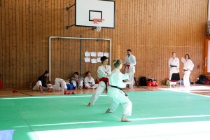 Tournoi-sankukai-onex2016-120