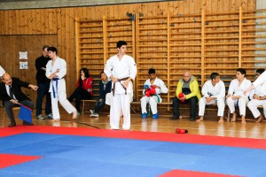 Tournoi-sankukai-onex2016-123