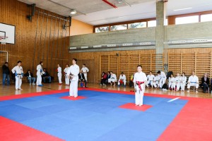 Tournoi-sankukai-onex2016-124