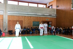 Tournoi-sankukai-onex2016-127