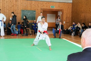 Tournoi-sankukai-onex2016-128