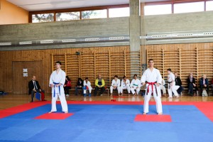 Tournoi-sankukai-onex2016-129