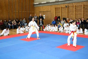 Tournoi-sankukai-onex2016-13