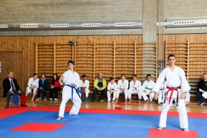 Tournoi-sankukai-onex2016-130