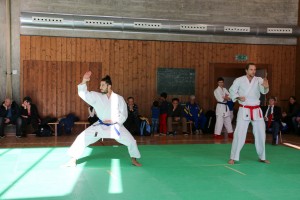 Tournoi-sankukai-onex2016-131