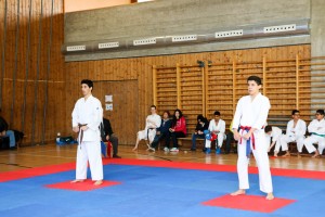 Tournoi-sankukai-onex2016-132