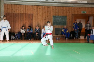 Tournoi-sankukai-onex2016-133