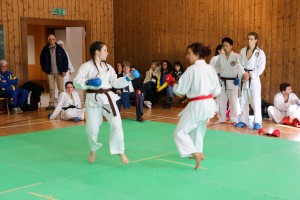 Tournoi-sankukai-onex2016-136