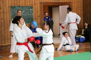 Tournoi-sankukai-onex2016-137