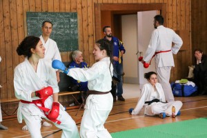 Tournoi-sankukai-onex2016-138