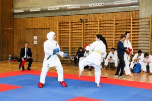 Tournoi-sankukai-onex2016-139