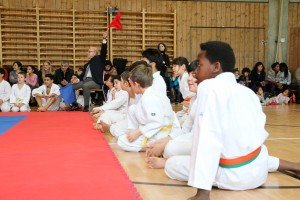 Tournoi-sankukai-onex2016-14