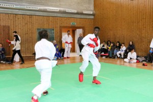 Tournoi-sankukai-onex2016-140