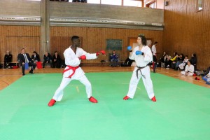 Tournoi-sankukai-onex2016-141