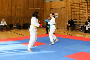 Tournoi-sankukai-onex2016-145