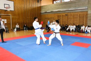 Tournoi-sankukai-onex2016-146