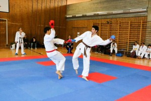 Tournoi-sankukai-onex2016-147