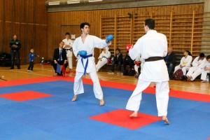 Tournoi-sankukai-onex2016-148