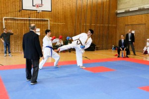 Tournoi-sankukai-onex2016-149