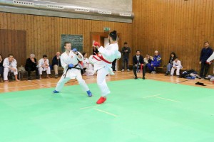 Tournoi-sankukai-onex2016-152