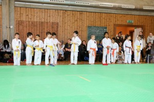 Tournoi-sankukai-onex2016-17