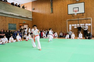 Tournoi-sankukai-onex2016-19