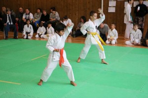 Tournoi-sankukai-onex2016-20