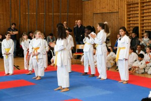 Tournoi-sankukai-onex2016-23