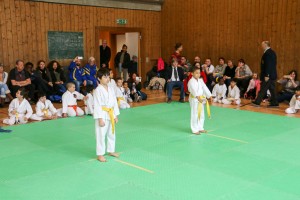 Tournoi-sankukai-onex2016-25
