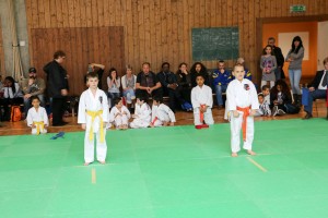 Tournoi-sankukai-onex2016-29