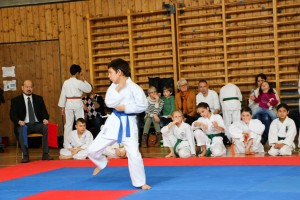 Tournoi-sankukai-onex2016-30