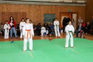 Tournoi-sankukai-onex2016-34