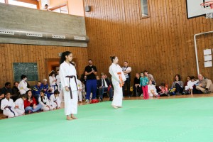 Tournoi-sankukai-onex2016-35