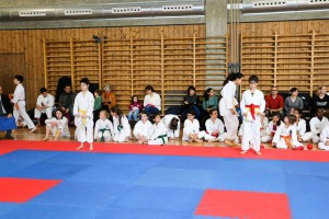 Tournoi-sankukai-onex2016-37