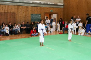 Tournoi-sankukai-onex2016-38
